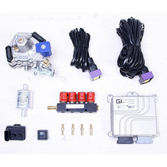 GASITALY ECU SET F3 STANDARD